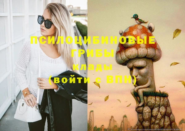 винт Сосновый Бор