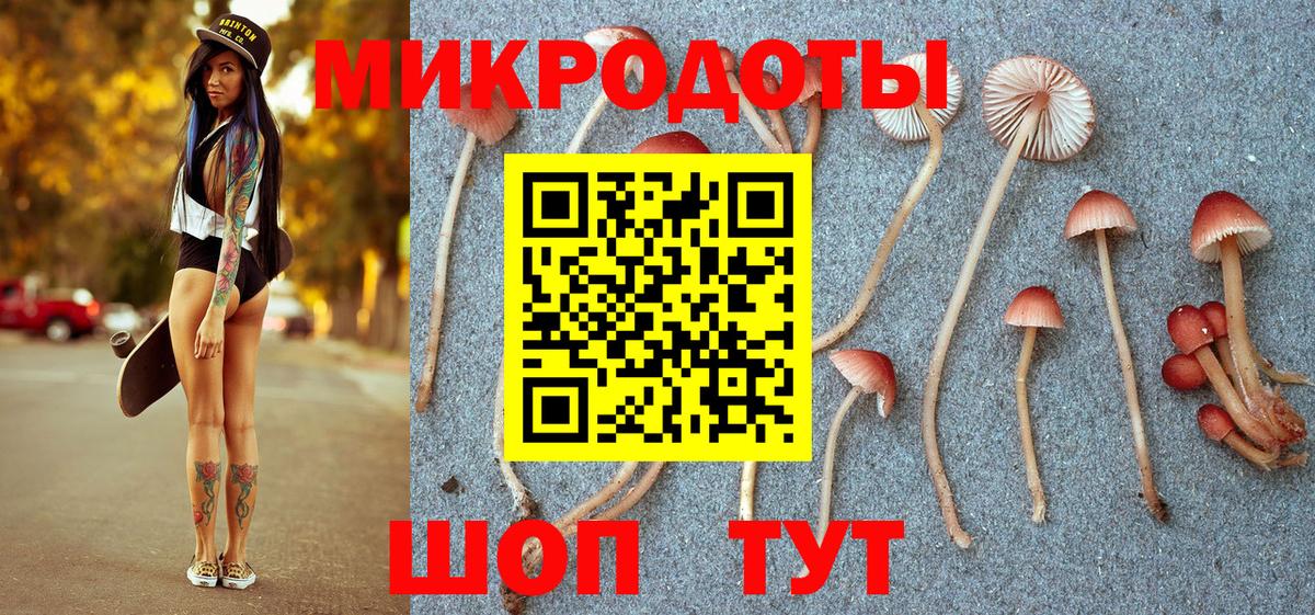 Хасавюрт  Псилоцибиновые грибы мицелий  Вход с VPN 